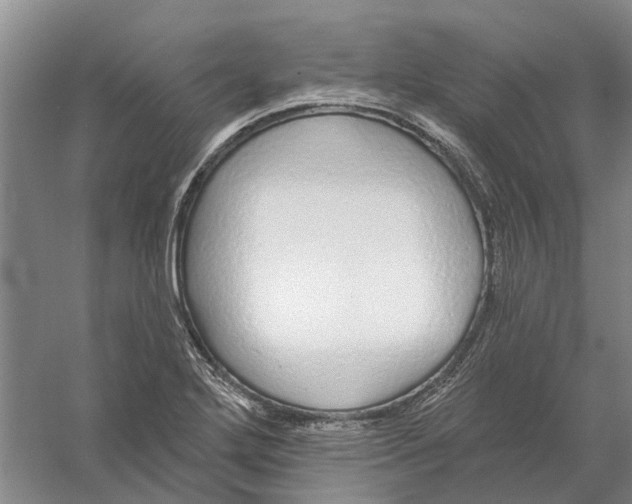 X0000056351272200509232056