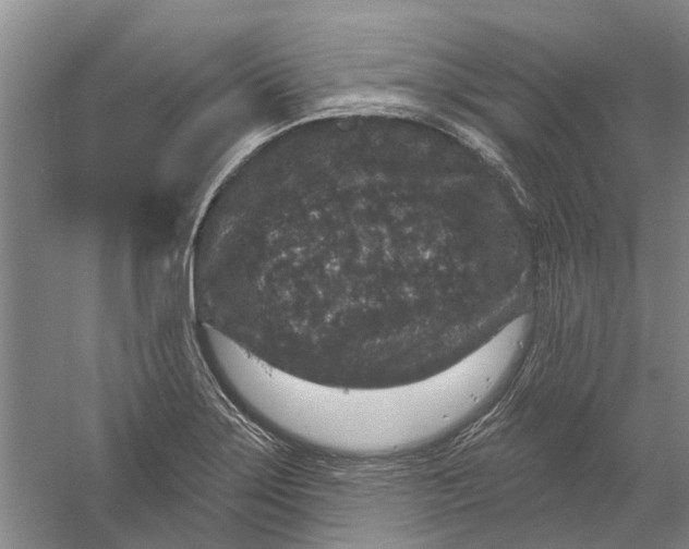 X0000056351275200509232056