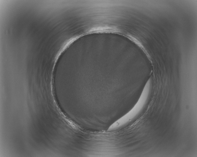 X0000056351277200509232056