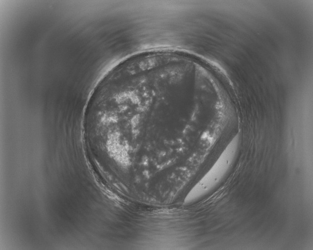 X0000056351279200509232056