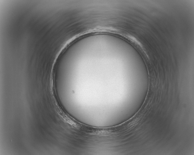 X0000056351280200509232056