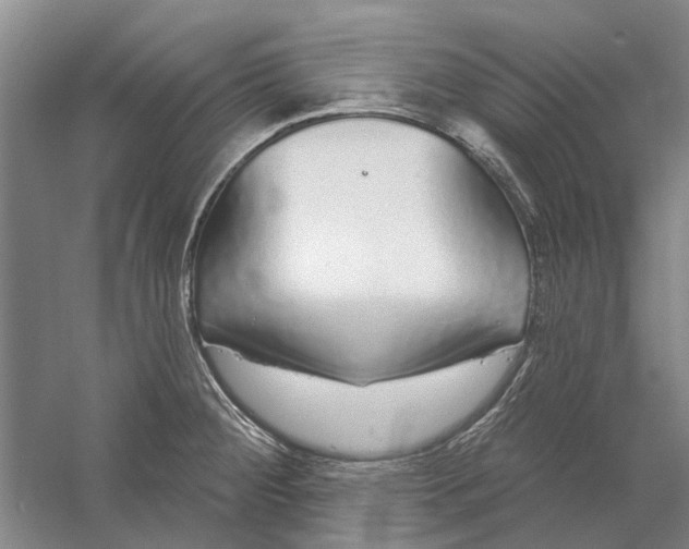 X0000056351284200509232055