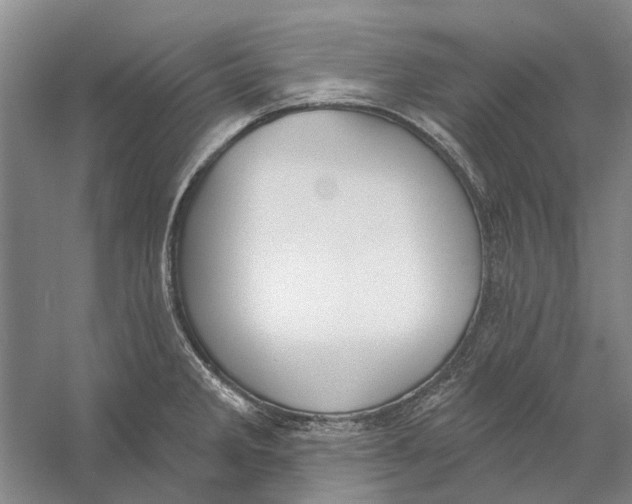 X0000056351285200509232055