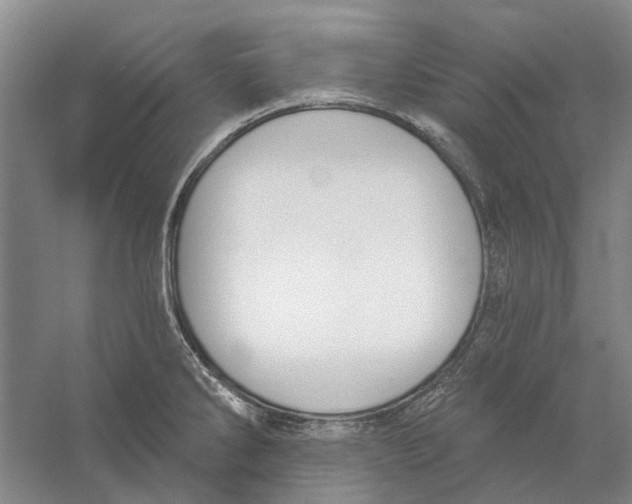 X0000056351286200509232055