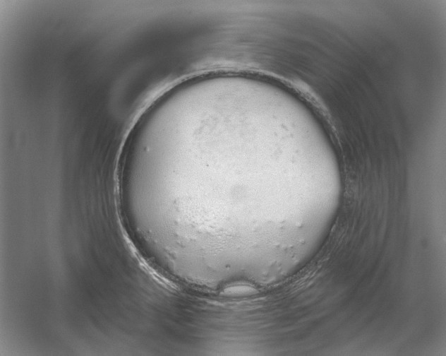 X0000056351287200509232055