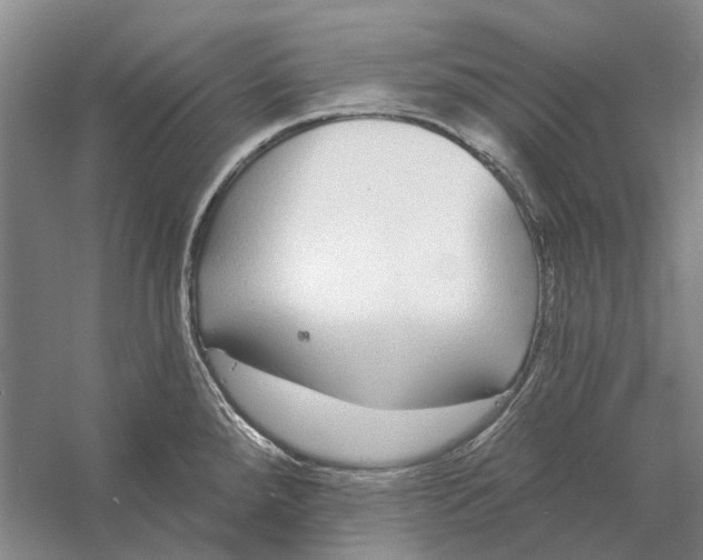 X0000056351288200509232055