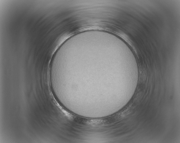 X0000056351290200509232055