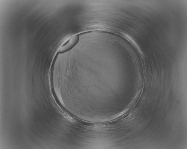 X0000056351291200509232055