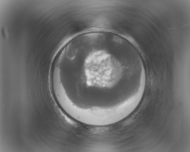 X0000056351294200509232055