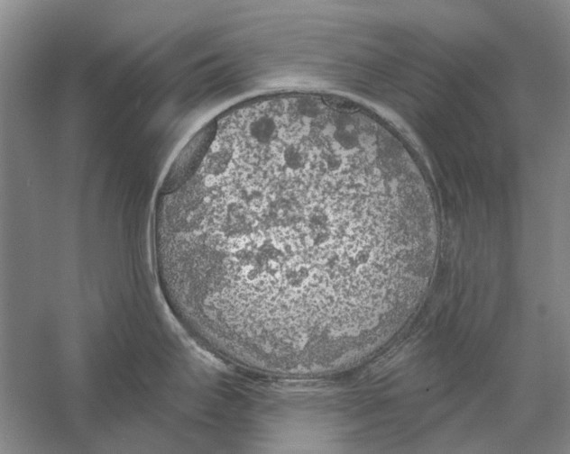 X0000056351295200509232055