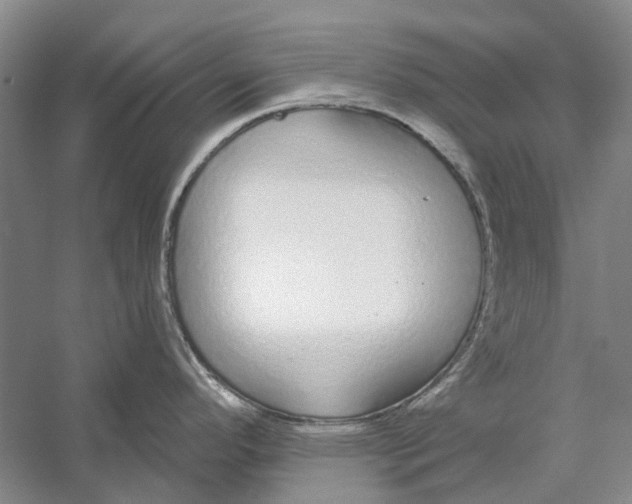 X0000056351296200509232055