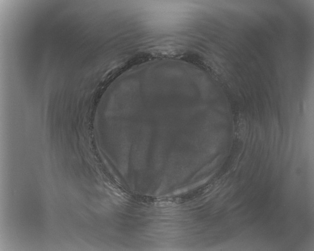 X0000056351297200509232054