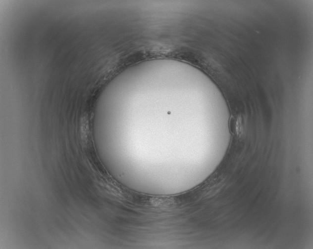 X0000056351299200509232054