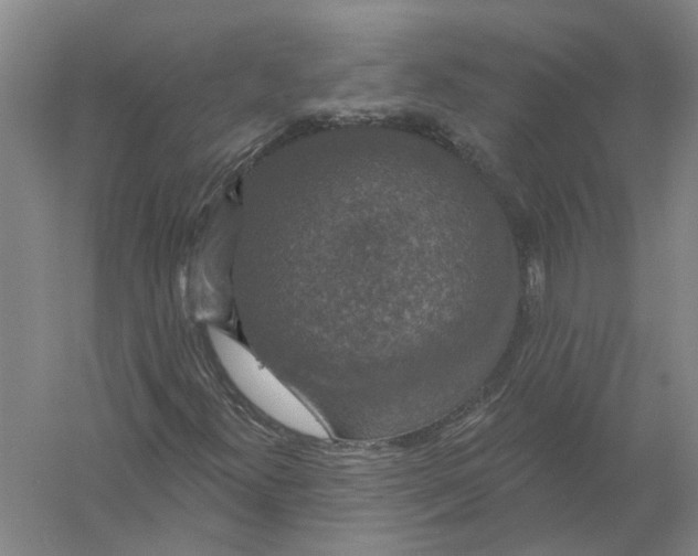 X0000056351300200509232055