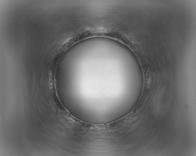 X0000056351301200509232055