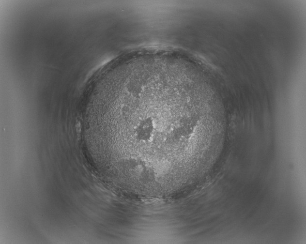 X0000056351302200509232055