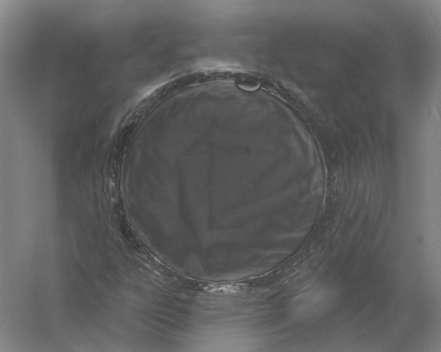 X0000056351303200509232055