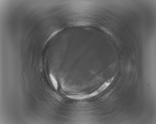 X0000056351306200509232055