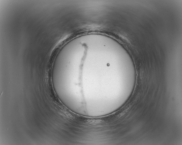 X0000056351309200509232055