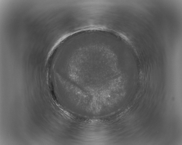 X0000056351310200509232055