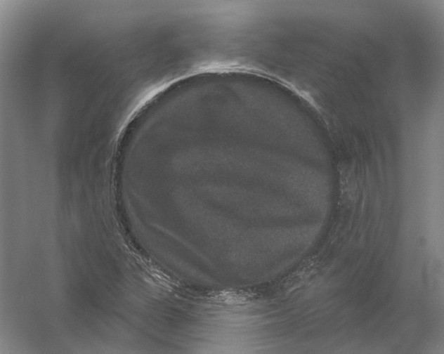 X0000056351311200509232055