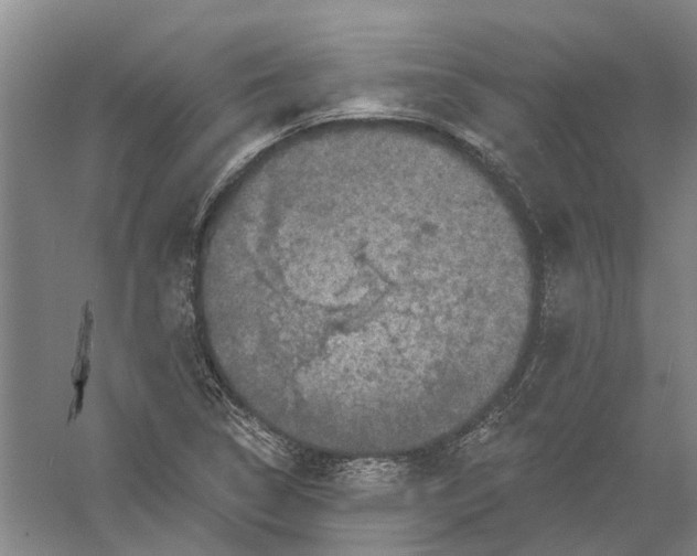 X0000056351314200509232055