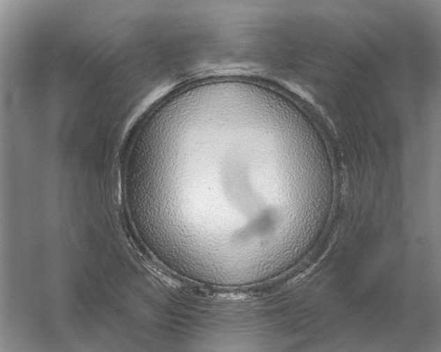 X0000056351317200509232055