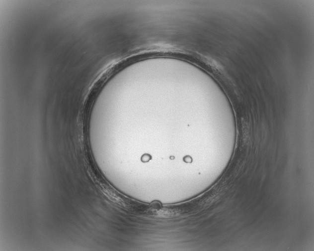 X0000056351318200509232055