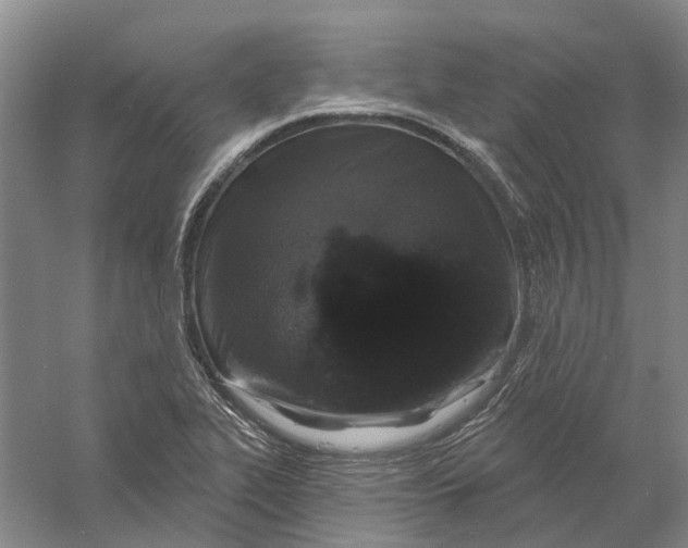 X0000056351319200509232055