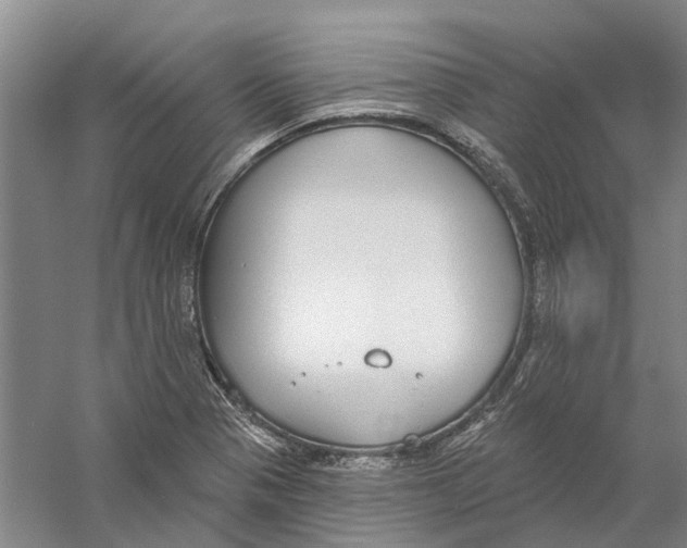 X0000056351321200509232055