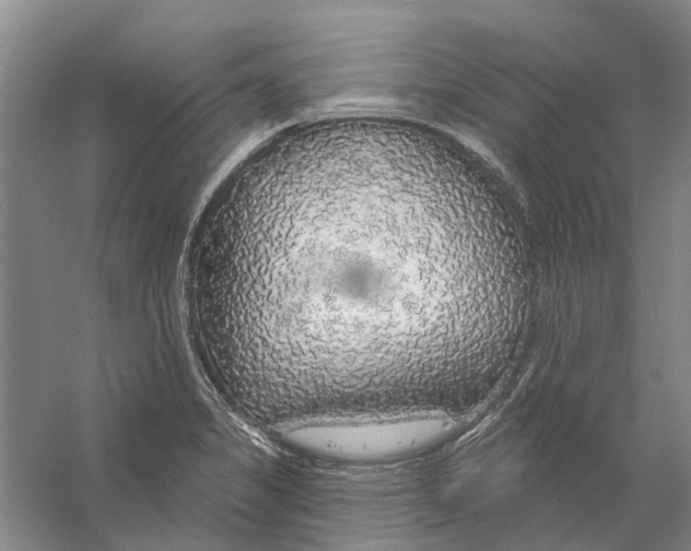 X0000056351325200509232055