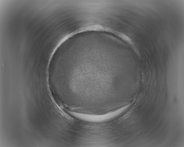 X0000056351326200509232055