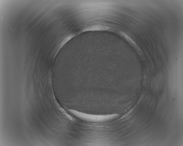 X0000056351329200509232055