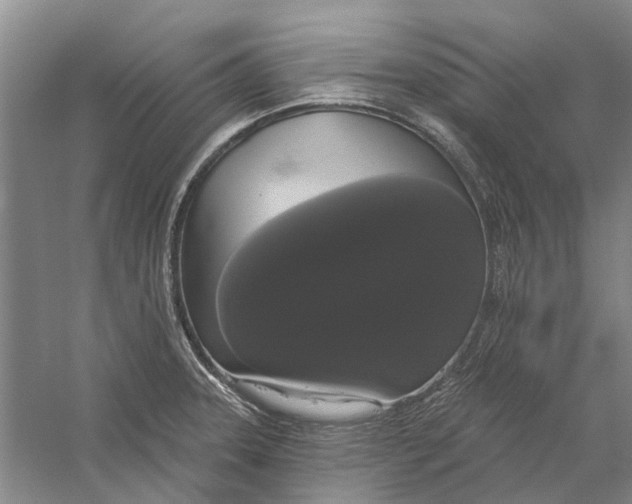 X0000056351331200509232055