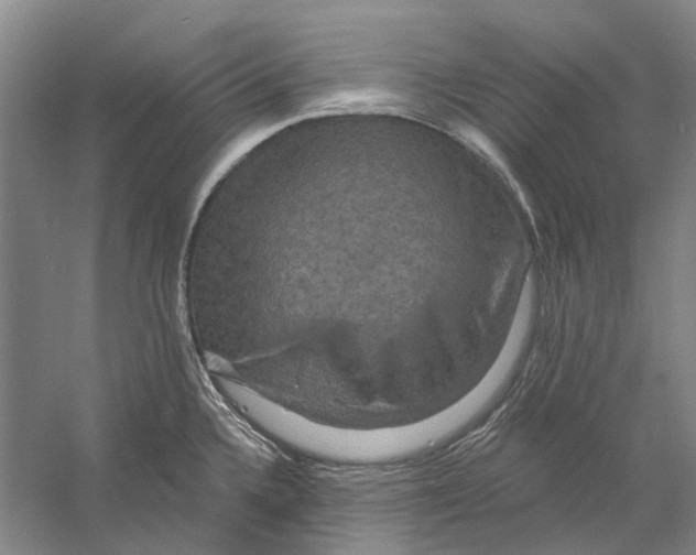 X0000056351336200509232055