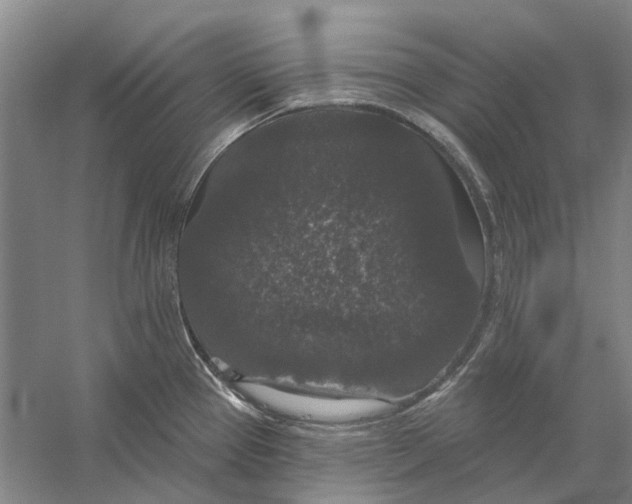 X0000056351337200509232055