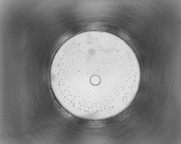 X0000056351338200509232055