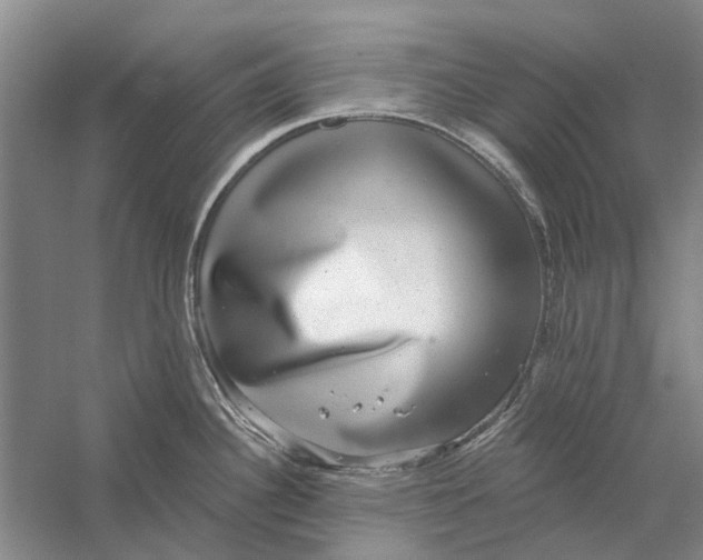 X0000056351340200509232055