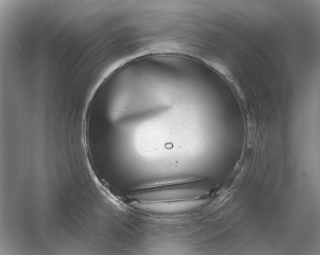 X0000056351342200509232055