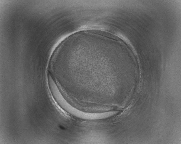 X0000056351344200509232055