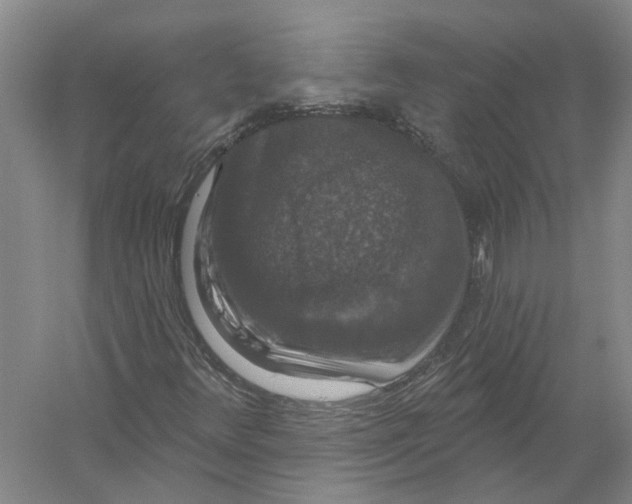 X0000056351348200509232054