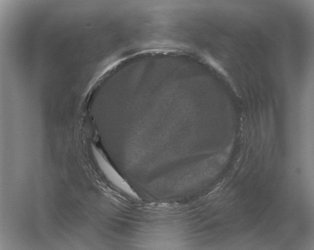 X0000056351352200509232054