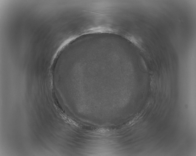 X0000056351358200509232054