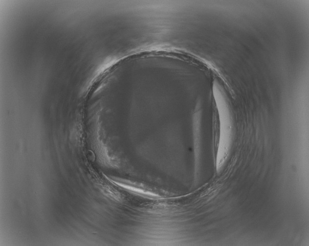 X0000056351359200509232054