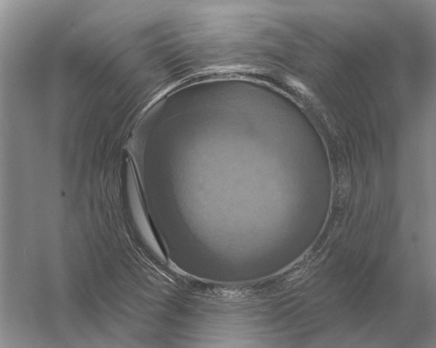 X0000056351361200509232054