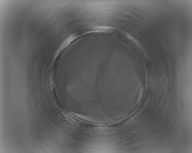 X0000056351362200509232054