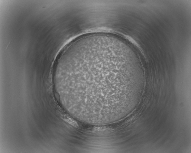 X0000056351364200509232054