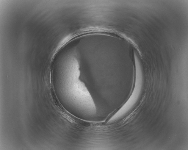 X0000056351365200509232054