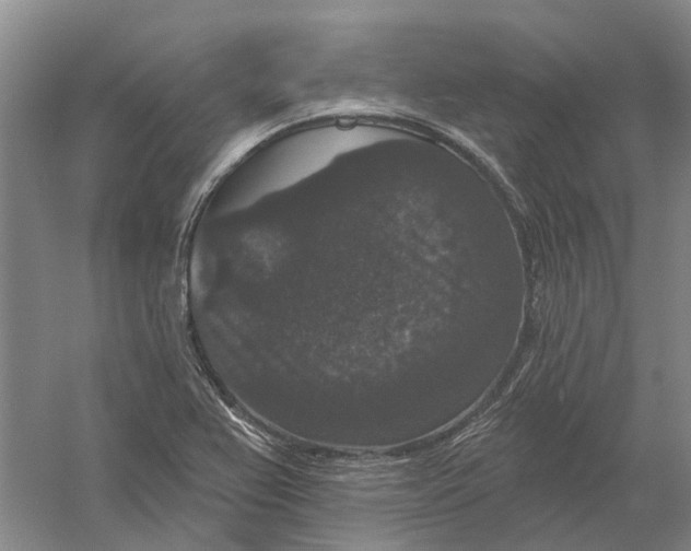 X0000056351367200509232054