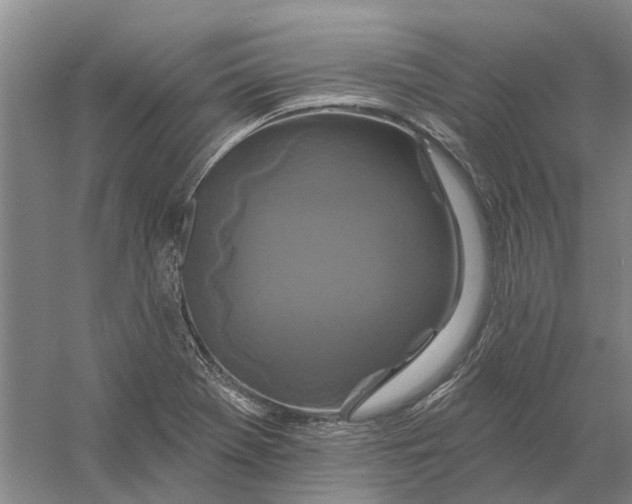 X0000056351369200509232054